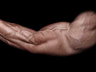 vascularity veins muscle
